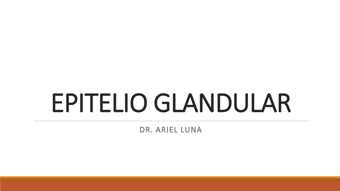 EPITELIO GLANDULAR modificada