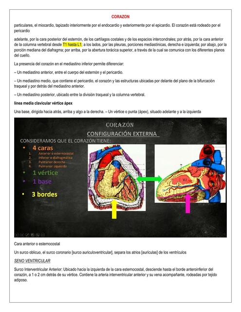 CORAZON