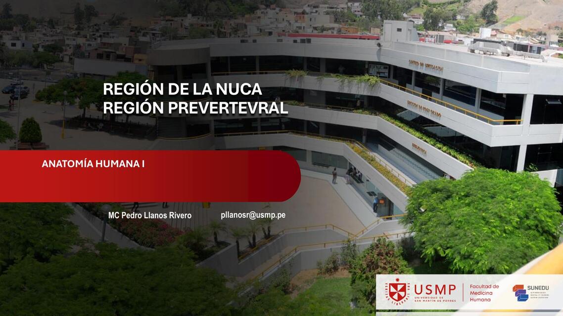 NUCA Y REGIÓN PREVERTEBRAL