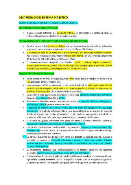 DESARROLLO DEL SISTEMA DIGESTIVO