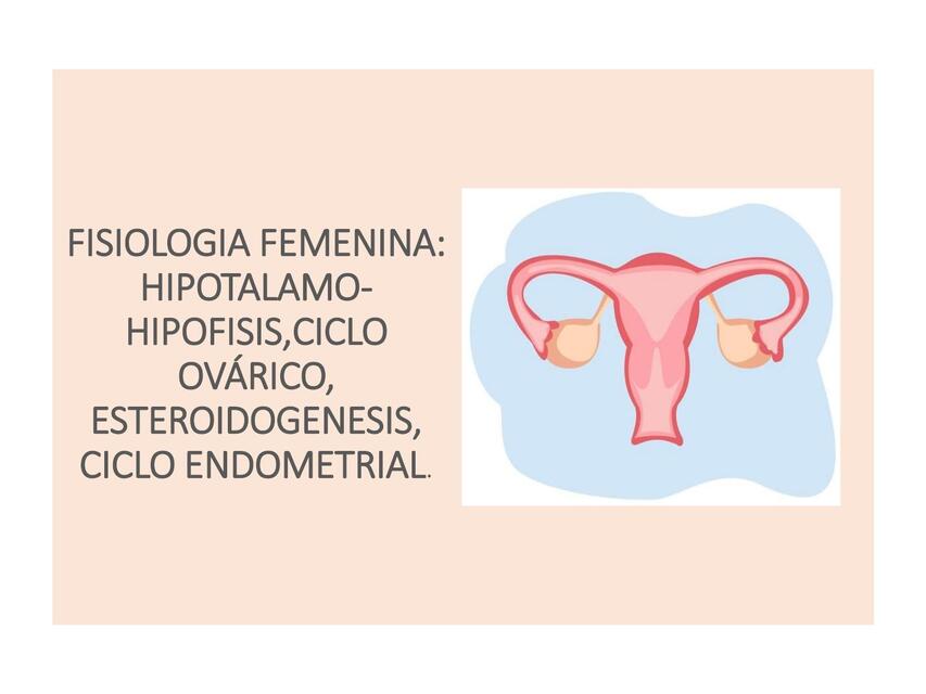 FISIOLOGIA FEMENINA