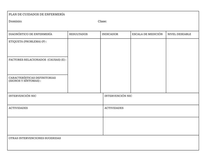 Formato Plan de Cuidados de Enfermería