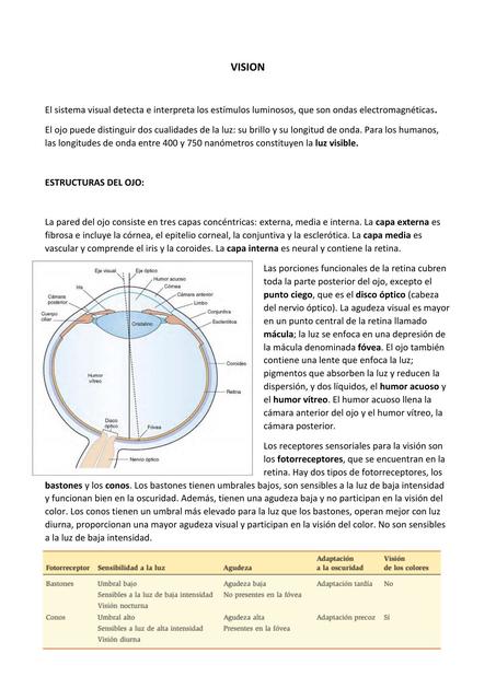 VISION Y AUDICION