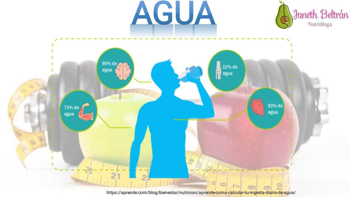 AGUA ACTIVIDAD FISICA Y EVALUACION