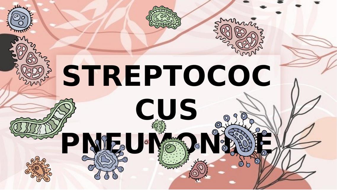 Streptococcus Pneumoniae 