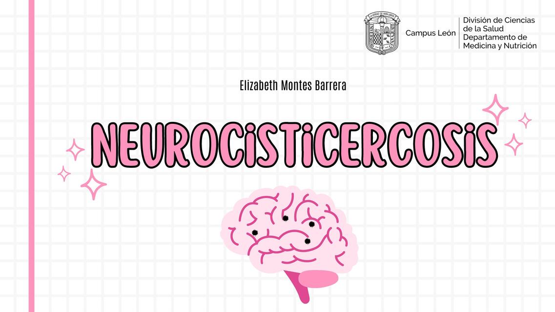 Neurocisticercosis