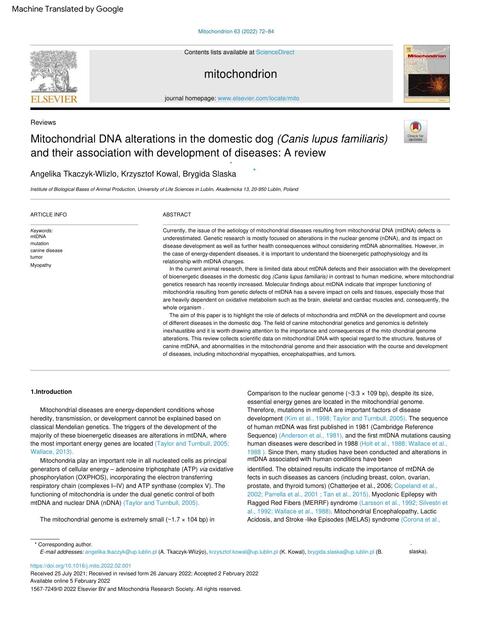 Mitochondrial DNA alterations in the domestic dog