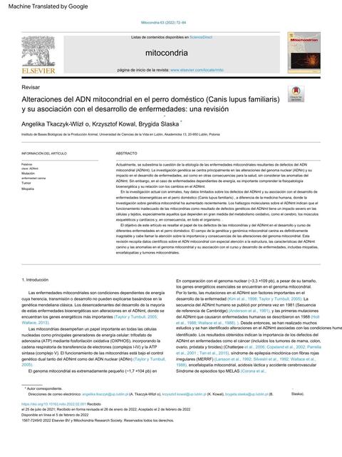 Mitochondrial DNA alterations in the domestic dog