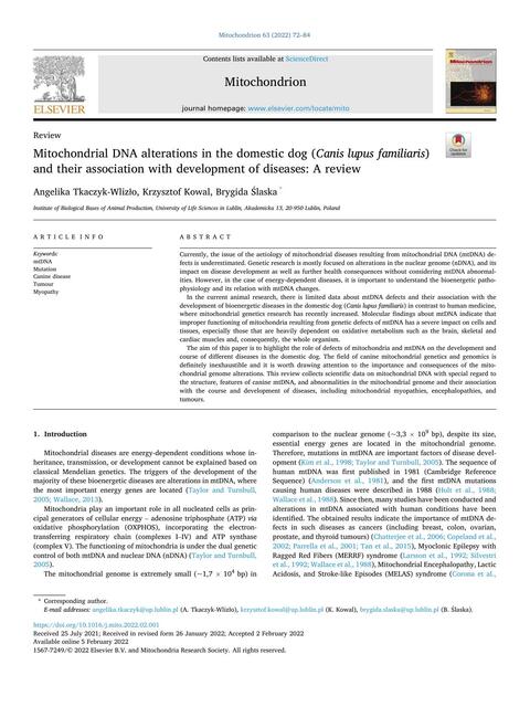 Mitochondrial DNA alterations in the domestic dog