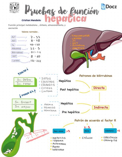 Prueba de función hepática