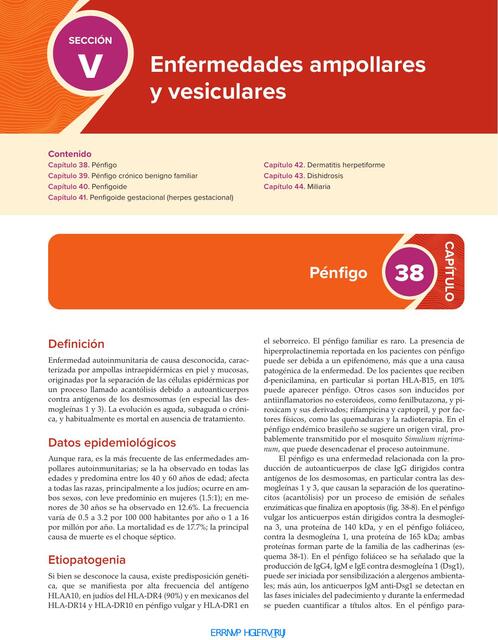 1 DERMATOSIS VESICO AMPOLLOSAS