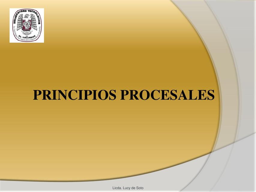 PRINCIPIOS PROCESALES