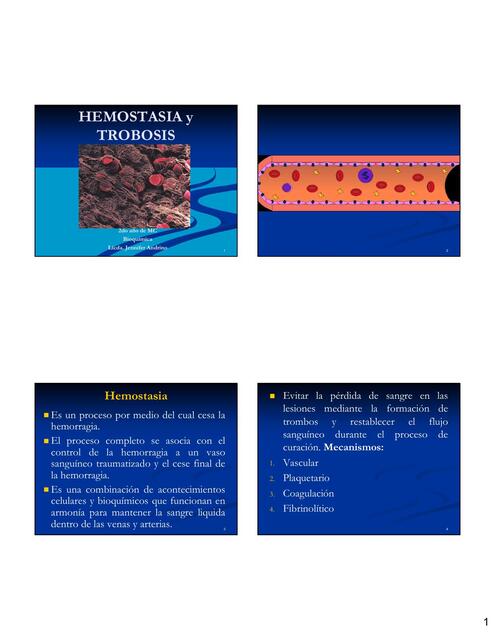 HEMOSTACIA Y TROM NO 24