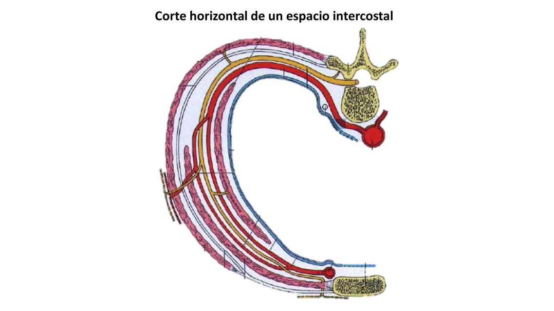 IMÁGENES PARA EL PRIMER PRÁCTICO