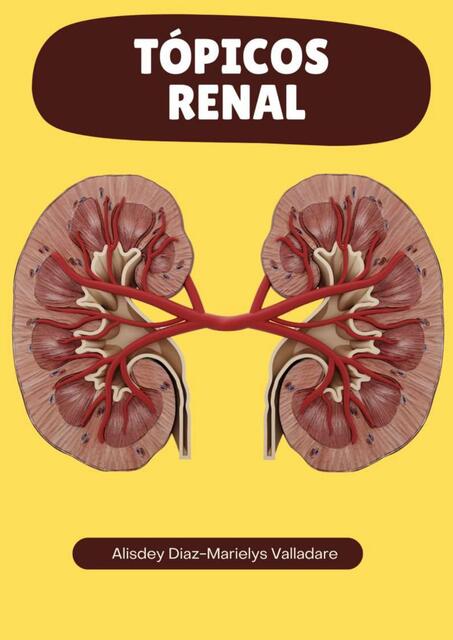 FISIOLOGIA Y ANATOMIA DEL RIÑON | Marielys Valladare | uDocz
