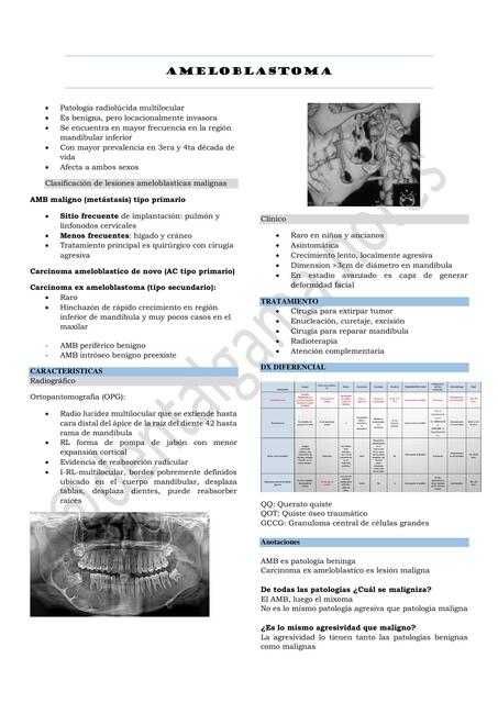 AMELOBLASTOMA