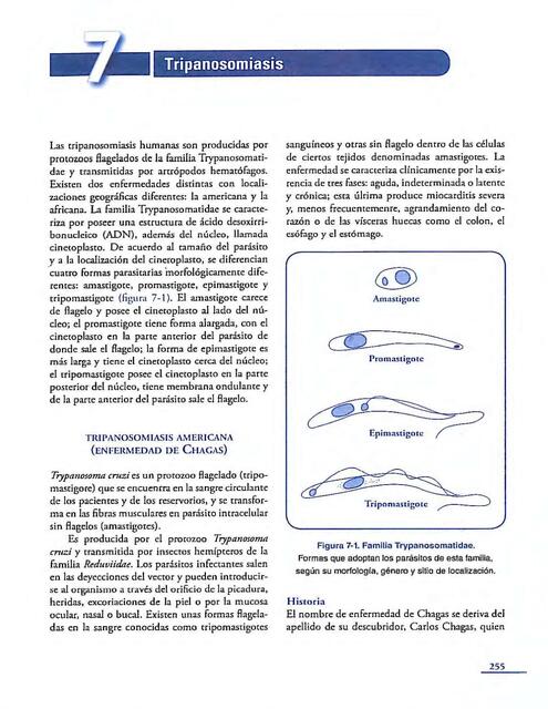 Tripanosomiasis