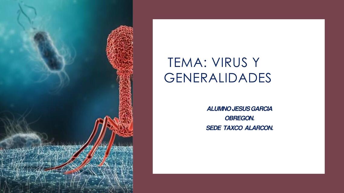 VIRUS Y GENERALIDADES.