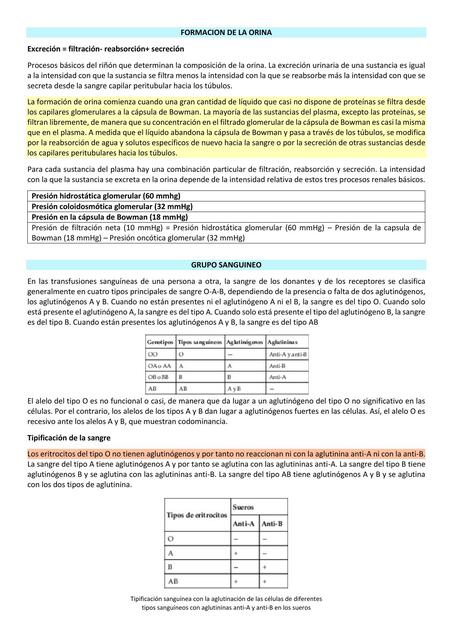 FORMACION DE LA ORINA, GRUPO SANGUINEO Y FIEBRE