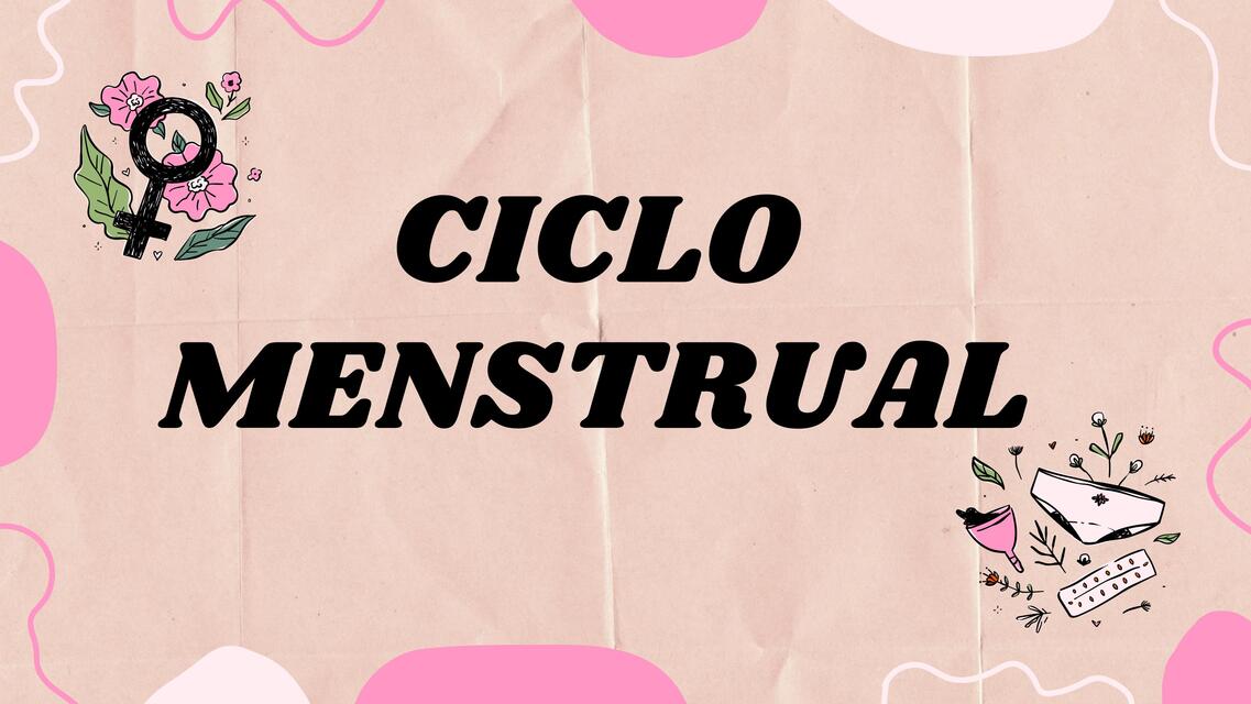 Ciclo menstrual