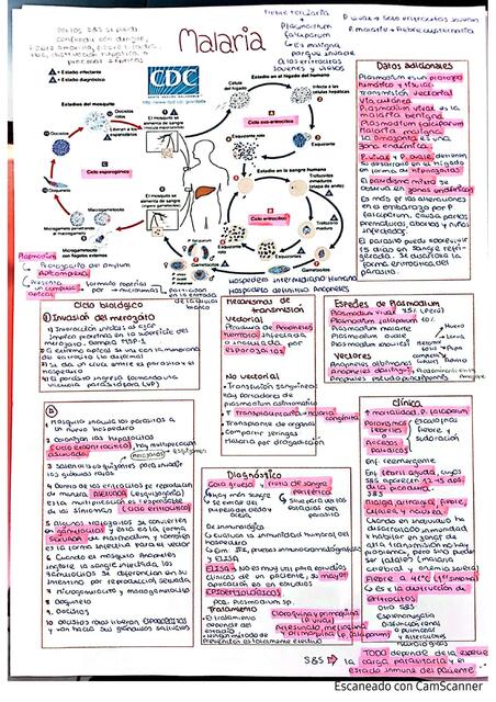 PARASITOLOGIA