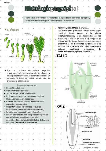 histologia vegetal