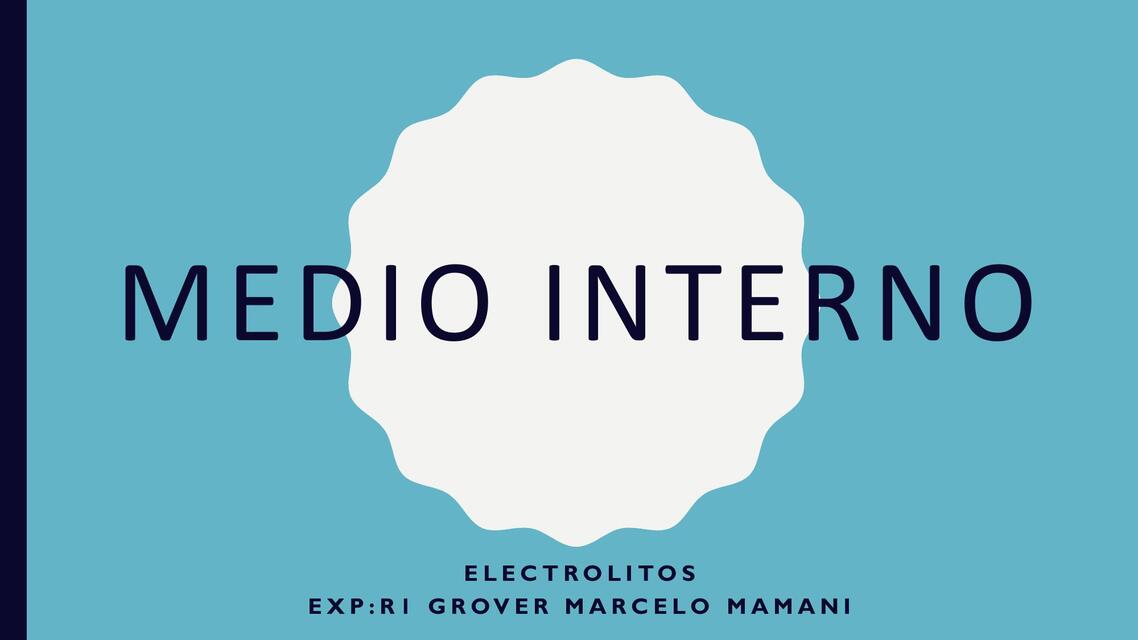 MEDIO INTERNO ELEK