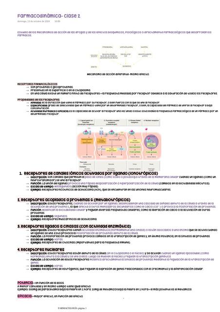 Apuntes- Farmacodinámica + Preguntas