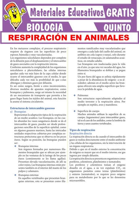 Respiración en los Animales para Quinto Grado de S