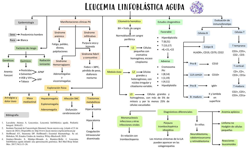 Leucemia Linfoblástica Aguda