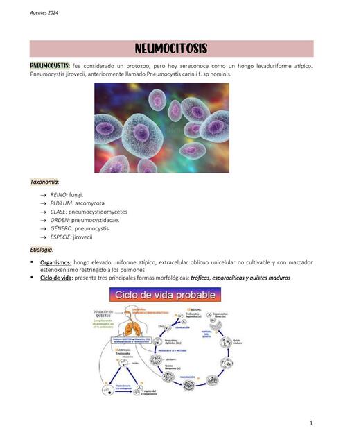 NEUMOCITOSIS