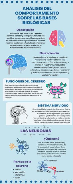 Infografía Ciencia Biología Células Ilustrada Azul