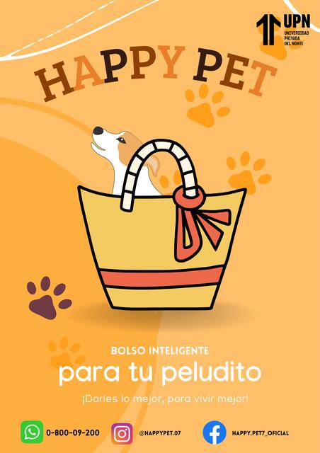 afiche adopcion consiente moderno amarillo