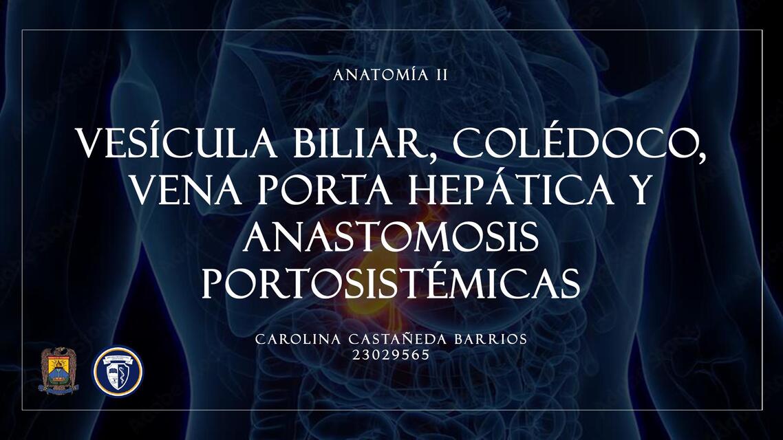 vesicula b, anastomosis portosistemicas, vena porta, anastomosis portosistemicas