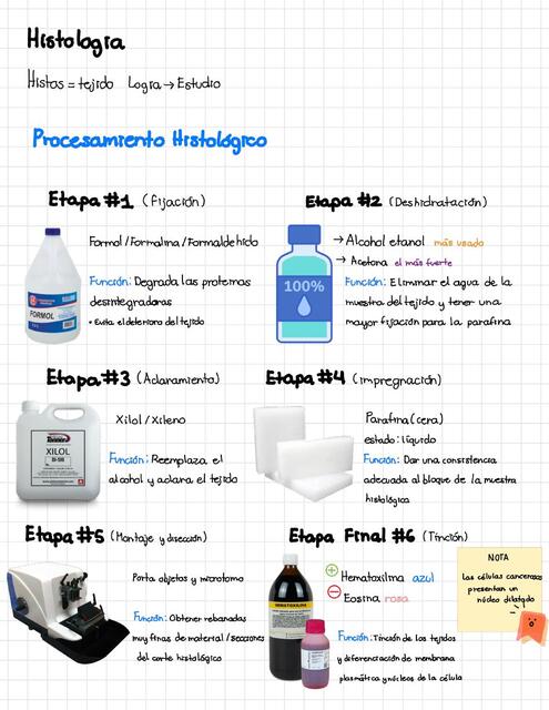 Técnica de procesamiento histologico