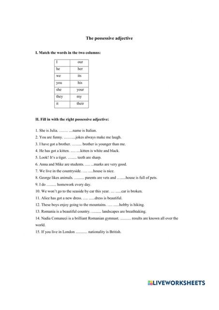 possessive adjective intro