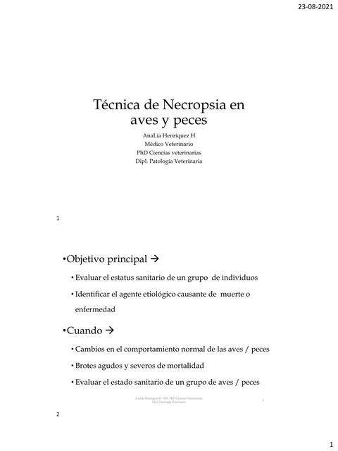 Técnica de Necropsia en aves y peces