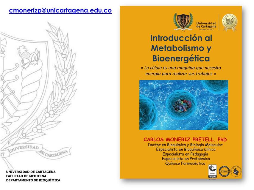 Bioenergetica 1