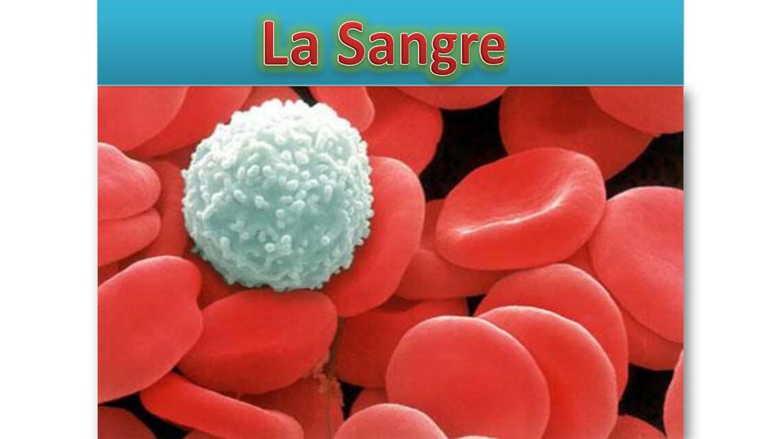 sangre