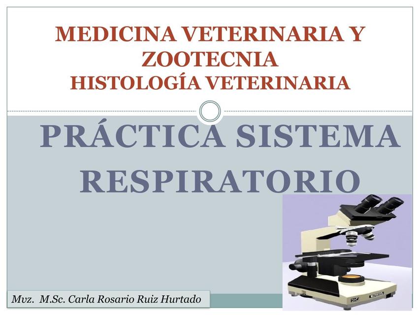 Práctica del Sistema Respiratorio