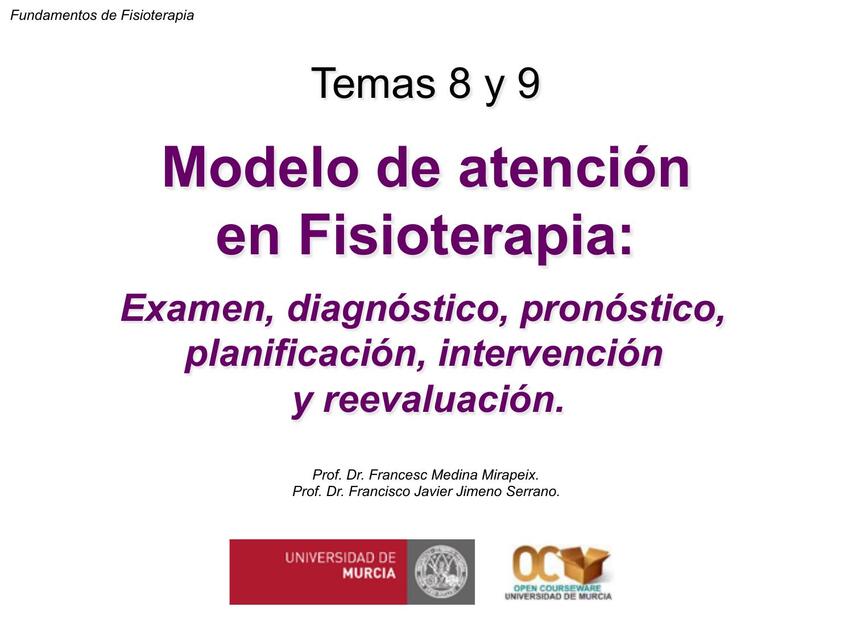 Modelo de Atención en Fisioterapia (MIF)