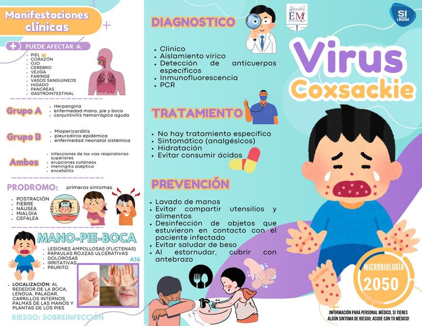 Tríptico Folleto Coxsackie