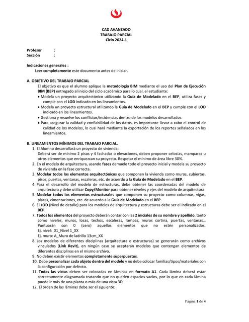 AR91 REQUISITOS TP CAD AVANZADO