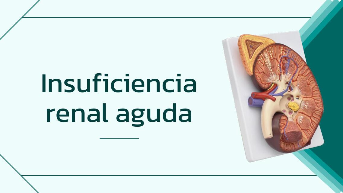 INSUFICIENCIA RENAL AGUDA EQ 1