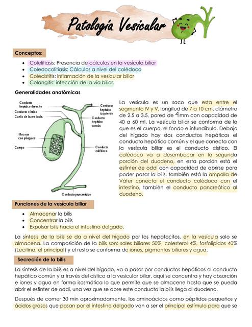 Patología  vesicular