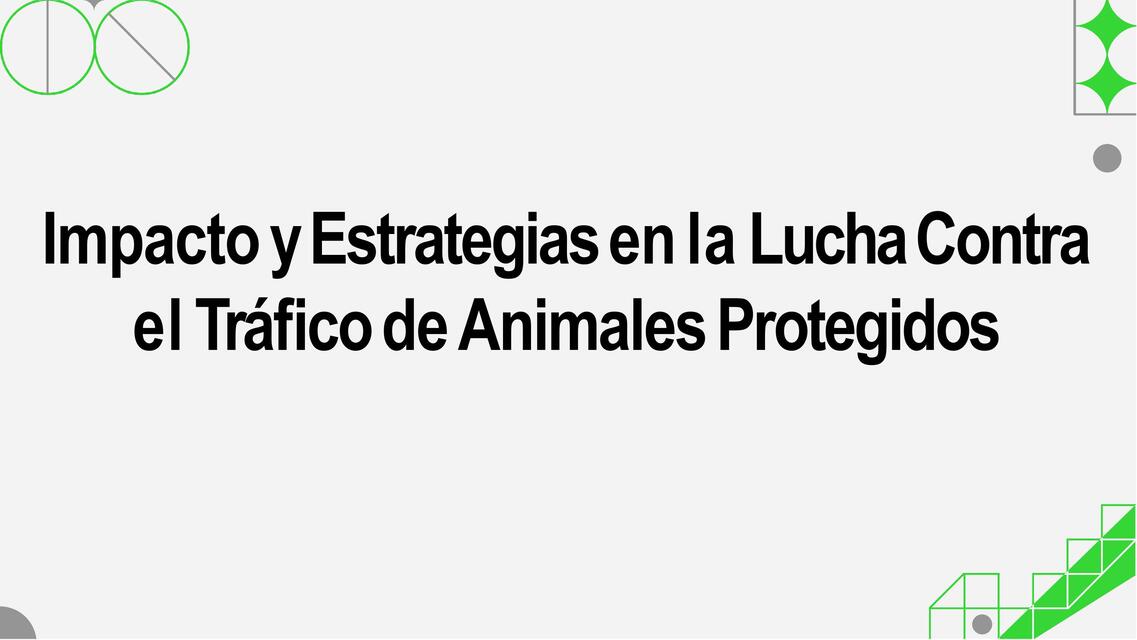 Tráfico de Animales Protegidos