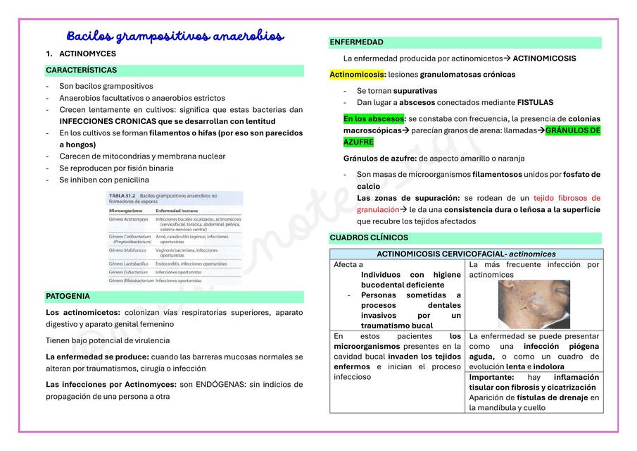 ACTINOMYCES - MURRAY MICROBIOLOGIA