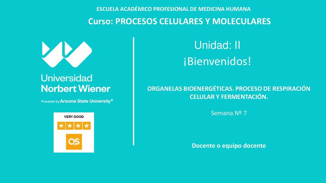 SEMANA 7 ORGANELAS BIOENERGÉTICAS I 1