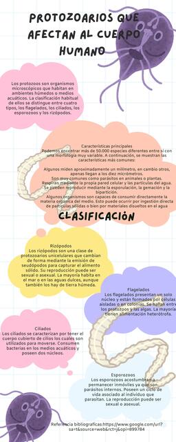 Infografía Creatividad Simple Blanco