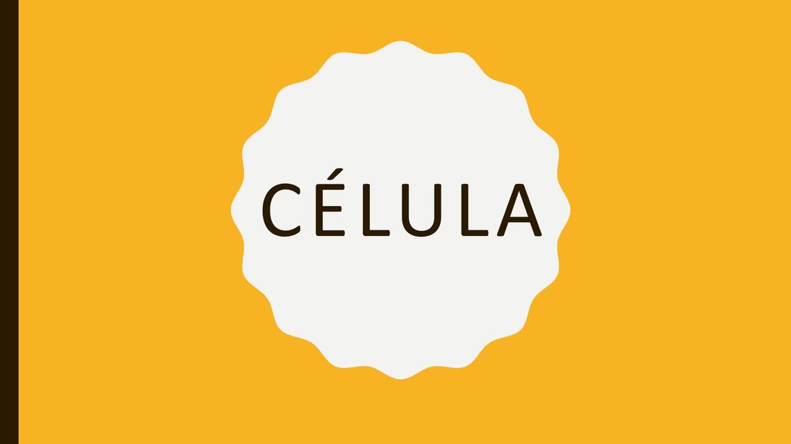 célula histología